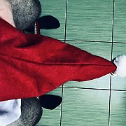 TattooGuy88 - mężczyzna, 36 lat, Opole