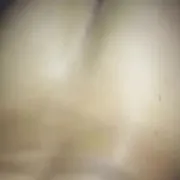 DariaDawid - paar (frau 38 Jahre, mann 45 Jahre), Eindhoven