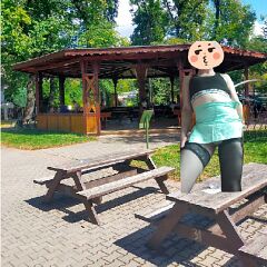 Photo in gallery