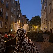 Aliii00ba - kobieta, 21 lat, Gdańsk