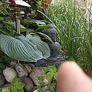 Flutek