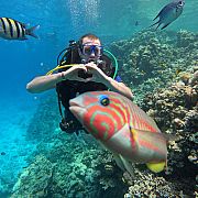 Przemus95 - mężczyzna, 30 lat, Oberhausen