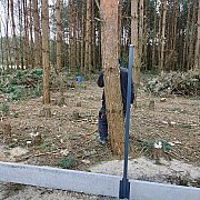 Gucio81 - muž, 44 let, Sandomierz