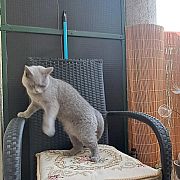 Cynkowy - muž, 23 let, Szczecin