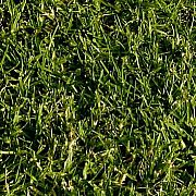 Mikusss01 - frau, 26 Jahre, Starachowice