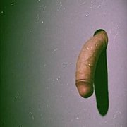 Lostandlust - man, 35 years, Poznań