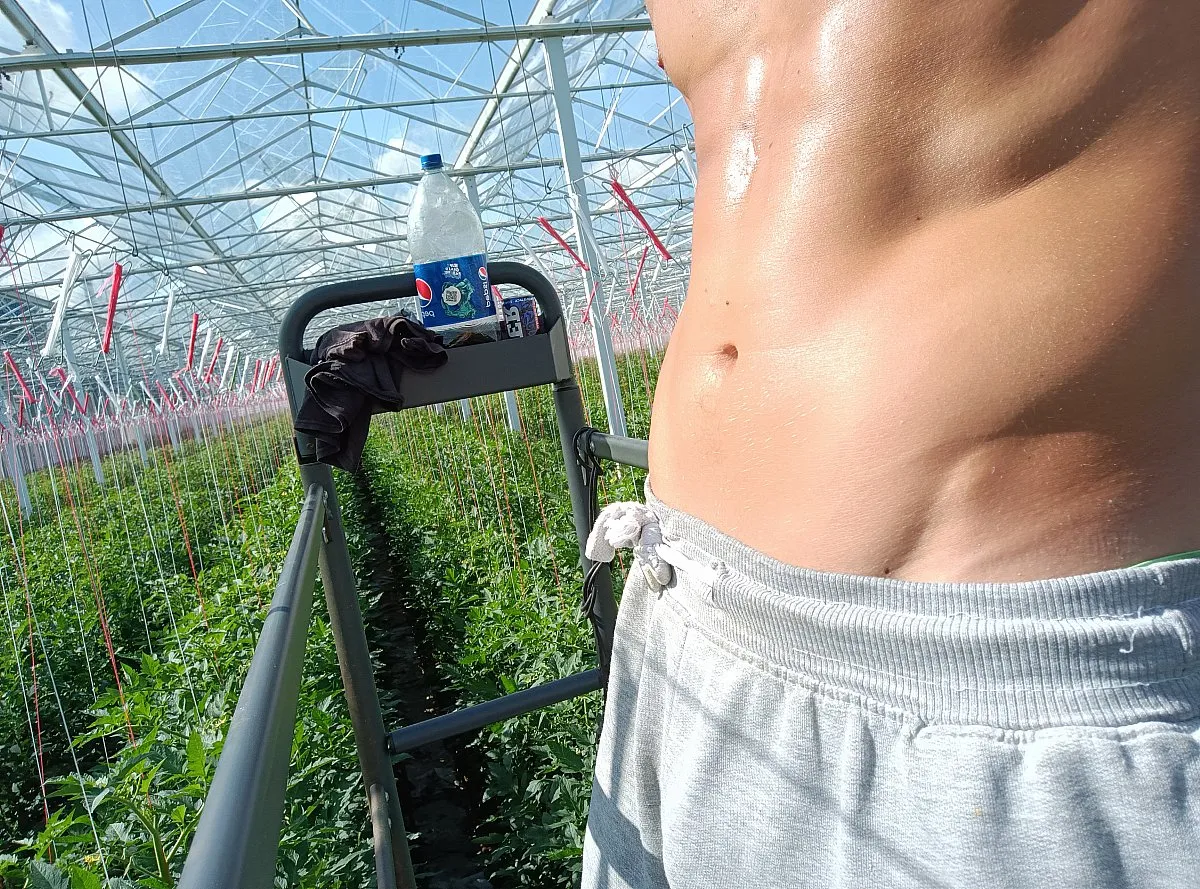 Photo in gallery