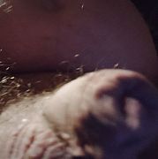 Zaspakajacz - man, 53 years, Bielsko-Biała