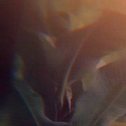 MisterRocco - mężczyzna, 35 lat, Białystok