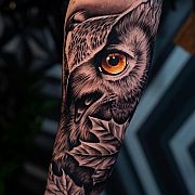 Okras - muž, 31 let, Głogów