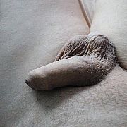 Superktos - man, 57 years, Suwałki