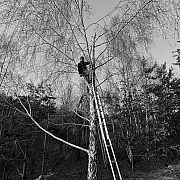 Poolie - mężczyzna, 45 lat, Płock