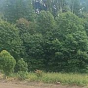 Anatol366 - muž, 41 let, Bydgoszcz