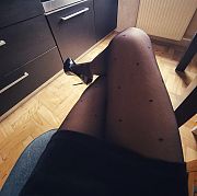 Ninja123422 - trans, 30 lat, Wrocław