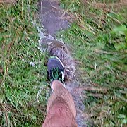 Skyriders - mann, 50 Jahre, Warszawa