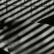 Newton023 - man, 25 years, Warszawa