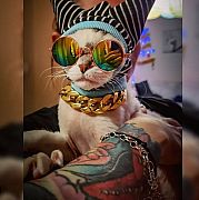 Laajik - mann, 28 Jahre, Katowice