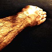 Ffgustek - man, 55 years, Bielsko-Biała