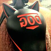 Ffgustek - mężczyzna, 56 lat, Bielsko-Biała