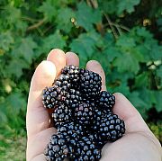 EndlessOrgasm - mężczyzna, 30 lat, Gdynia