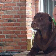 Arcibal - man, 45 years, Wschowa