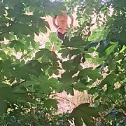 Gucio22 - mężczyzna, 28 lat, Opole