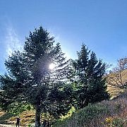 Ciezkifilm - mann, 37 Jahre, Witnica