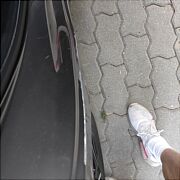 254585223