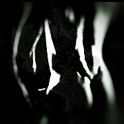 Levi85 - mann, 40 Jahre, Zielona Góra