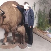 Misiu69696969 - чоловік, 56 років, Przemyśl