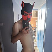 GoldDog - mężczyzna, 27 lat, Poznań