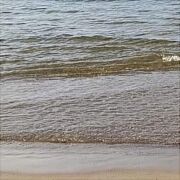 Weni85 - mężczyzna, 40 lat, Czaplinek