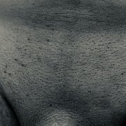 AZRAELIUM - mężczyzna, 46 lat, Gdańsk