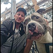 GOLDBOYZ - muž, 36 let, Rotterdam