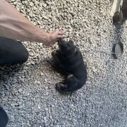 PoukladanyTyp - mann, 40 Jahre, Lubartów