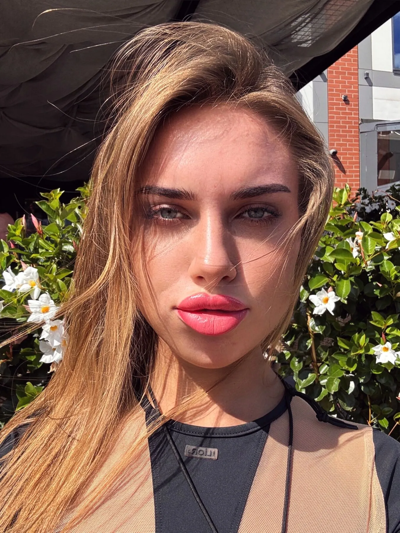 Photo in gallery