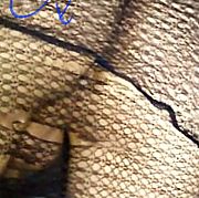 DagmaraSissyCD - trans, 41 lat, Roosendaal