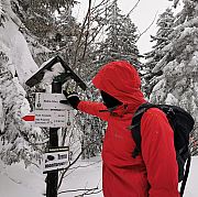 JamesPSullivan - mężczyzna, Kraków