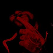 DarknessDemon - muž, 28 let, Oława