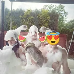 Photo in gallery