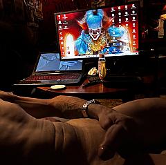 Photo in gallery