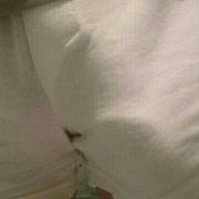 Robertrobert11 - мужчина, 50 лет, Płock