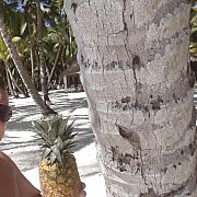 Rat2013 - чоловік, 40 років, Warszawa