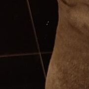 PsotnikDavid - muž, 32 let, Rzeszów