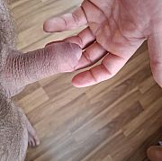 6789Kop - mężczyzna, 35 lat, Wrocław