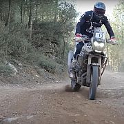 Martenso - чоловік, 25 років, Inowrocław