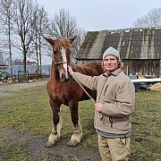 Norbert9312 - mężczyzna, 31 lat, Kraków
