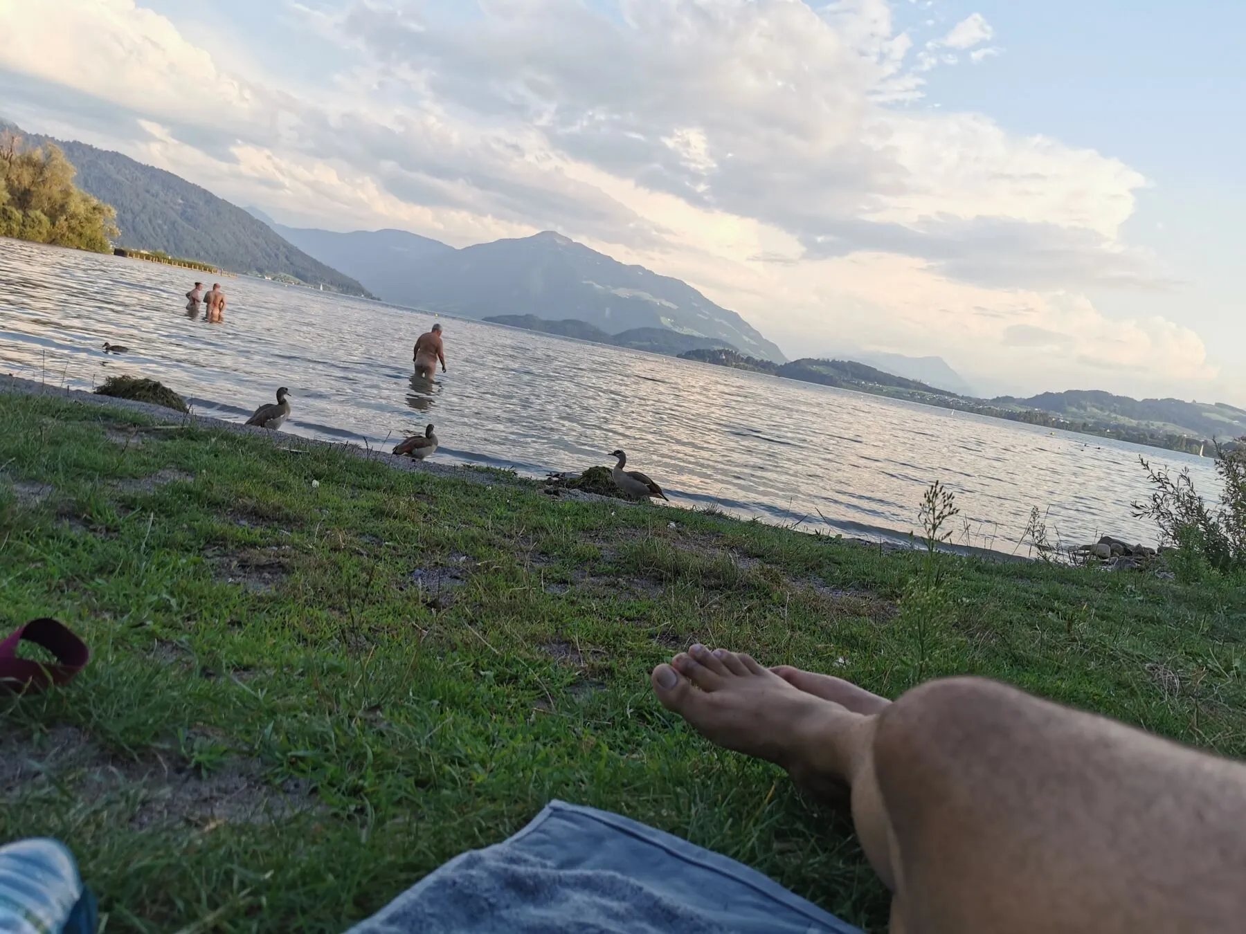Photo in gallery