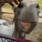 Hmmmozecoswiecej - muž, 35 let, Wrocław