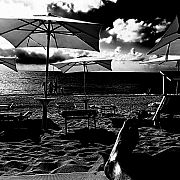 Mangoju - mężczyzna, 34 lat, Warszawa